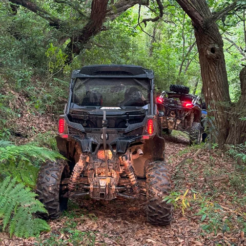 álbum UTV 04