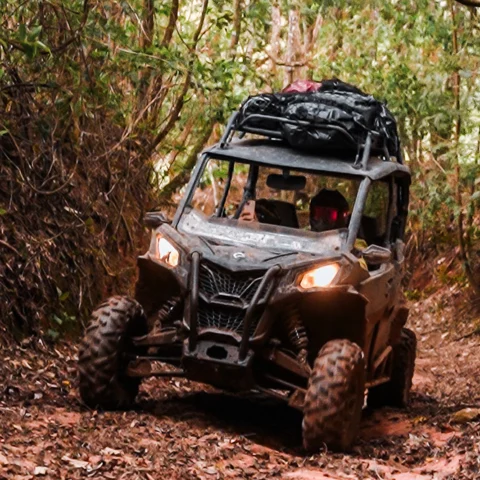 álbum UTV 08