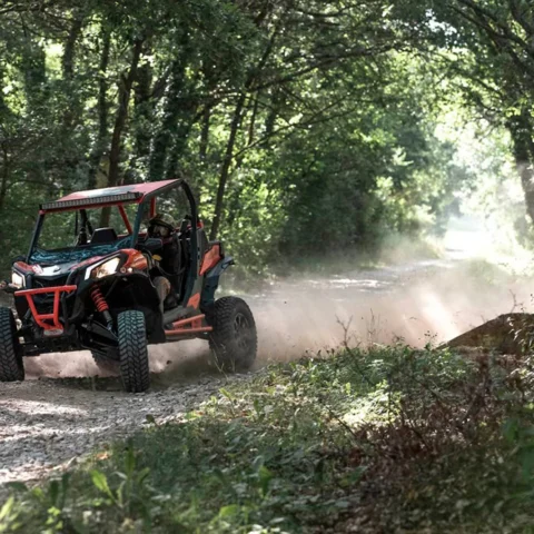 álbum UTV 11