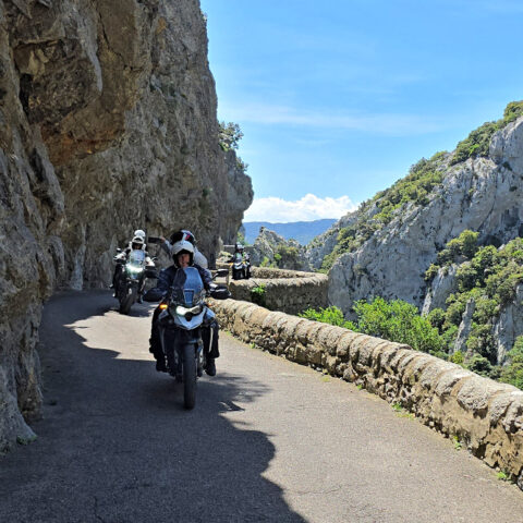 Europa - banner tour Pirineus 2