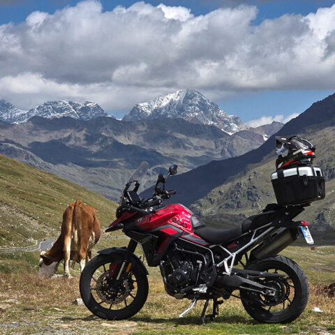 álbum Alpes 01
