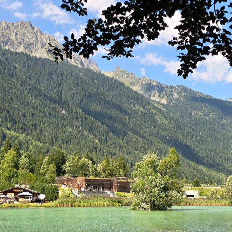 álbum Alpes 06