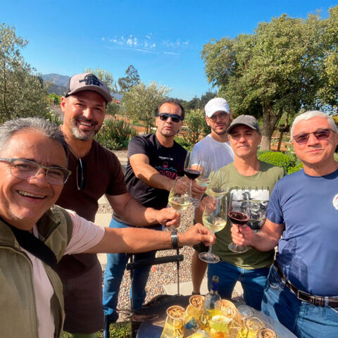 Tour Santiago e Mendoza ROXMOTORS