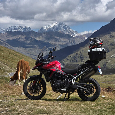 Europa - banner tour Alpes e Dolomitas