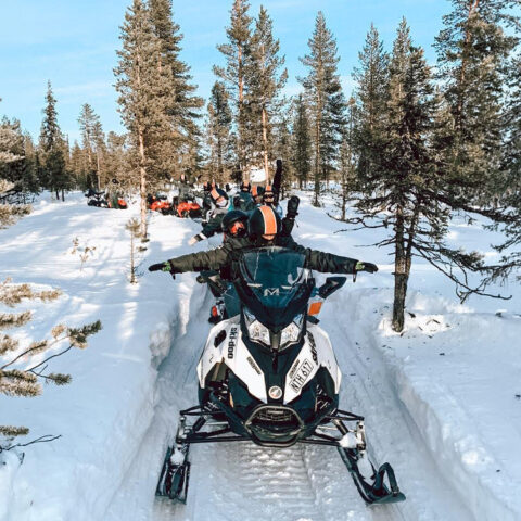 Aurora Artic - álbum 02