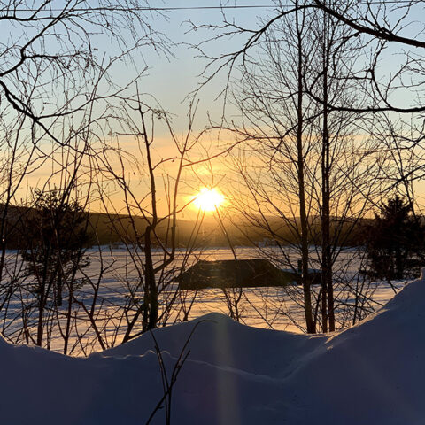 Aurora Artic - álbum 04