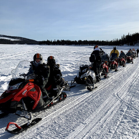 Aurora Artic - álbum 06