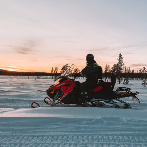 Aurora Artic - álbum 10