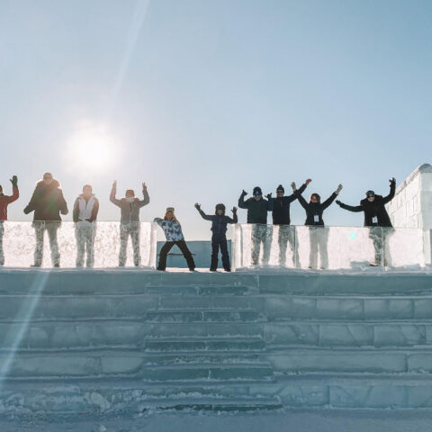 Aurora Artic - álbum 11