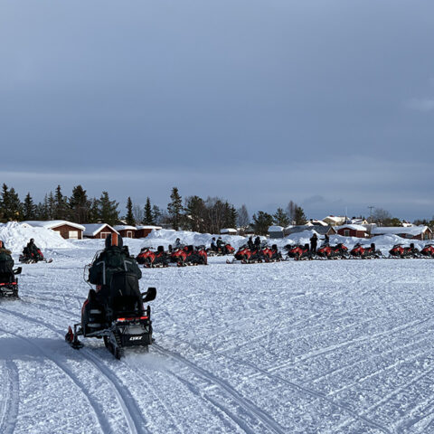 Aurora Artic - álbum 12