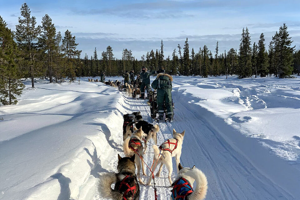 Aurora Artic Experience 2027 III | Feb 14–20 – SOLD OUT