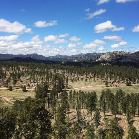 Yellowstone & Sturgis - álbum 06