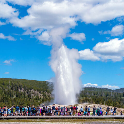 Yellowstone & Sturgis - álbum 11