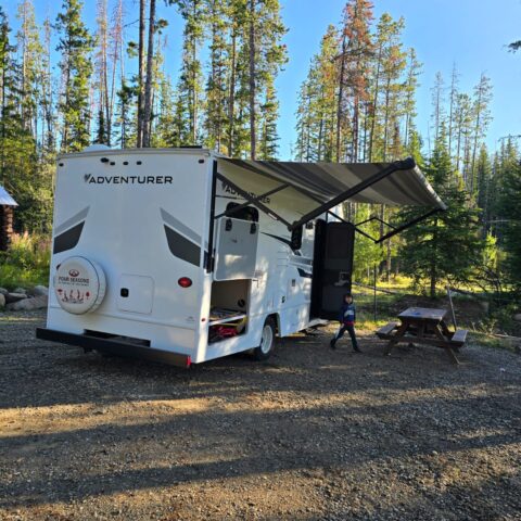motorhome-canada-camping-floresta
