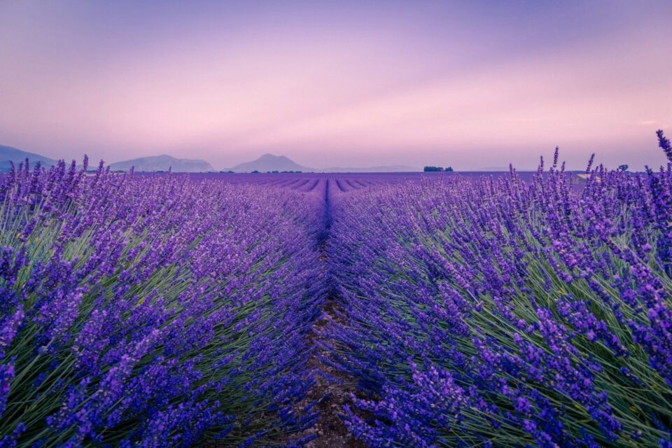 Provence & Côte d’Azur Grand Tour 2027 | 26/06 a 05/07
